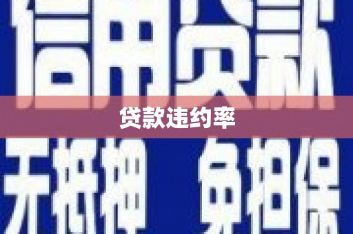 天门贷款违约率