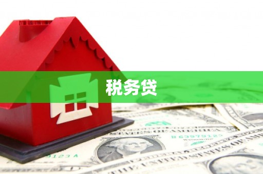 天门税务贷
