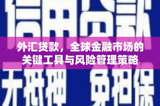 天门外汇贷款，全球金融市场的关键工具与风险管理策略