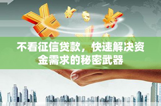 天门不看征信贷款，快速解决资金需求的秘密武器