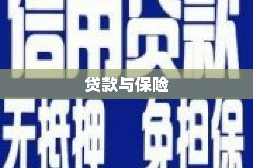 天门贷款与保险