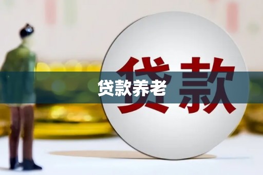 天门贷款养老