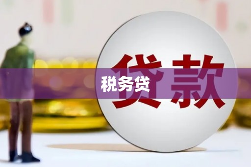 天门税务贷