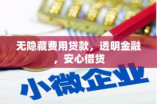 天门无隐藏费用贷款，透明金融，安心借贷