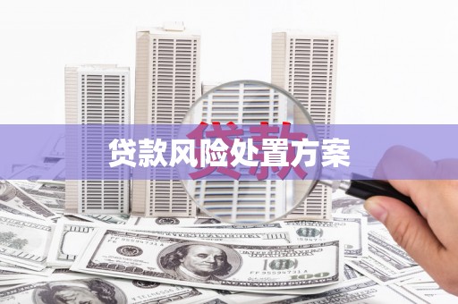 天门贷款风险处置方案