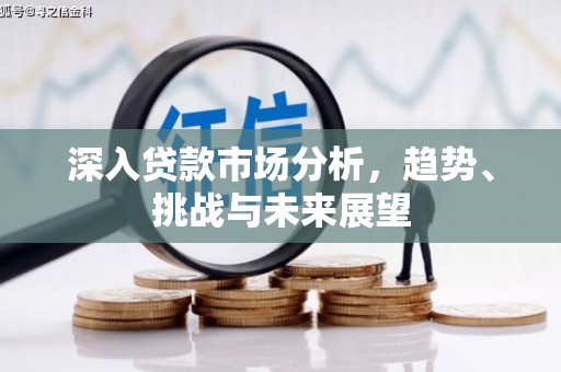 天门深入贷款市场分析，趋势、挑战与未来展望