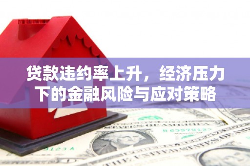 天门贷款违约率上升，经济压力下的金融风险与应对策略