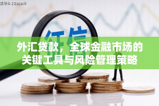 天门外汇贷款，全球金融市场的关键工具与风险管理策略