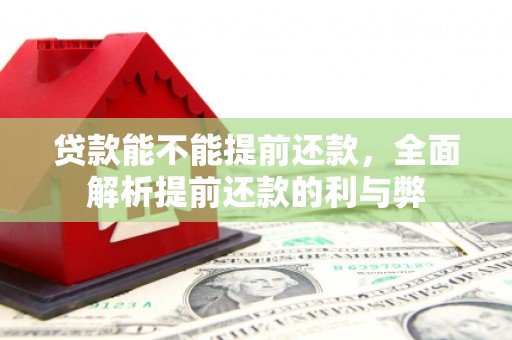 天门贷款能不能提前还款，全面解析提前还款的利与弊