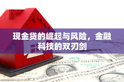 天门现金贷的崛起与风险，金融科技的双刃剑