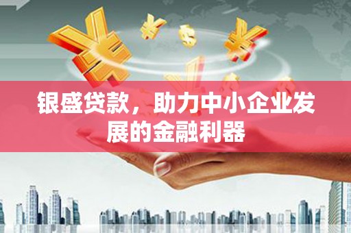 天门银盛贷款，助力中小企业发展的金融利器