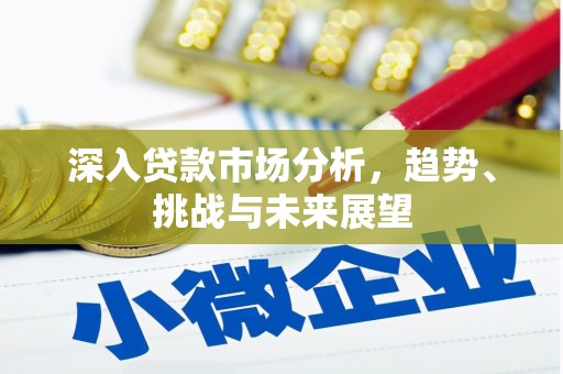天门深入贷款市场分析，趋势、挑战与未来展望