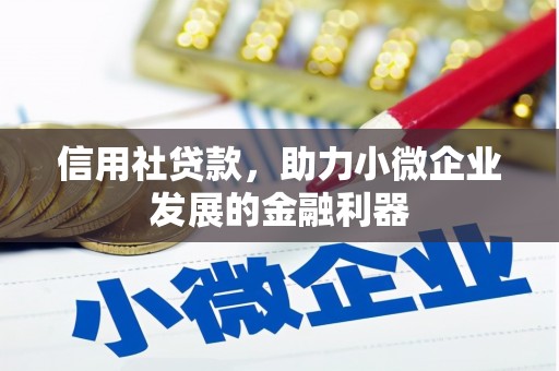 天门信用社贷款，助力小微企业发展的金融利器