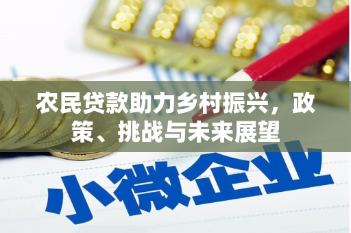 天门农民贷款助力乡村振兴，政策、挑战与未来展望