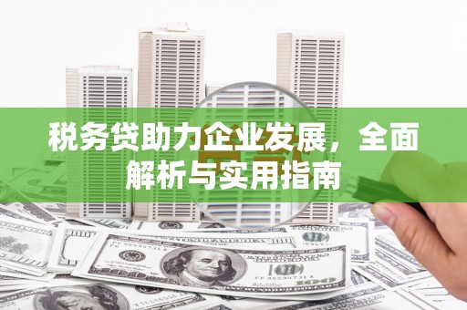 天门税务贷助力企业发展，全面解析与实用指南