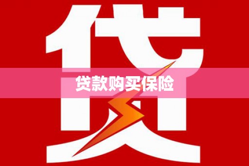 天门贷款购买保险