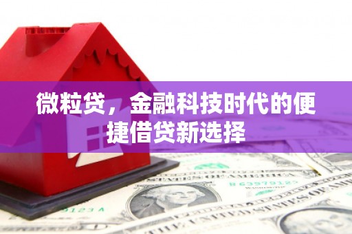 天门微粒贷，金融科技时代的便捷借贷新选择