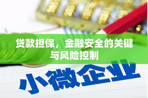 天门贷款担保，金融安全的关键与风险控制