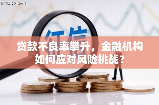 天门贷款不良率攀升，金融机构如何应对风险挑战？