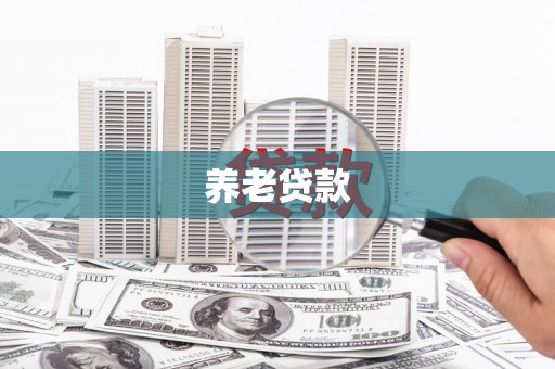 天门养老贷款