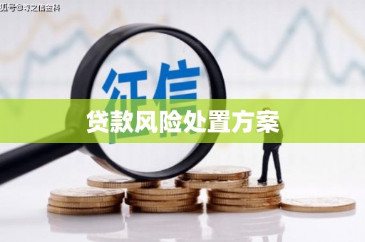 天门贷款风险处置方案